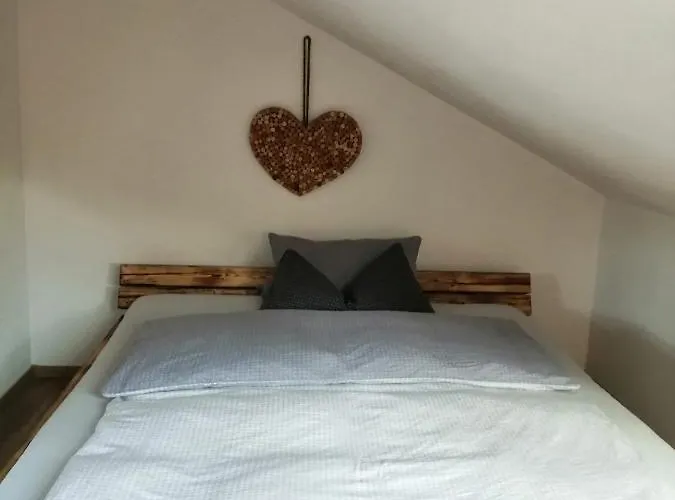 Saaleblick Lägenhet *